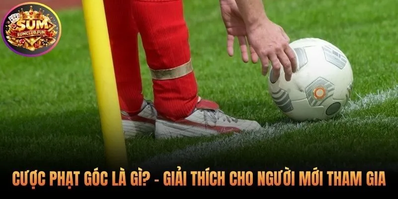 Dự đoán chỉ số phạt góc không phải kết quả trận đấu